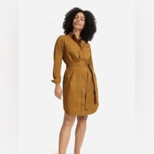Everlane Oxford Shirt Dress